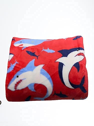 Decor&More American Pride Collection Microplush Throw Blanket (50" x 60") Faith-Hope-Love-Home-Decor