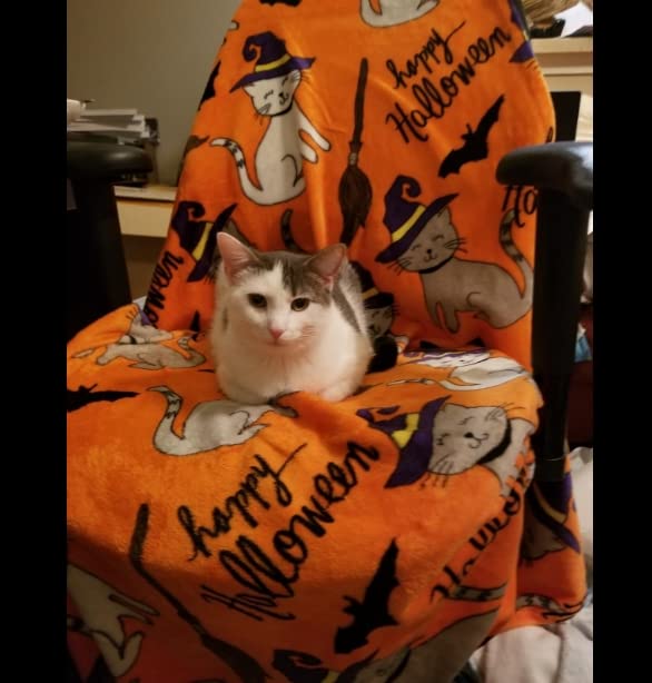 Decor&More Happy Halloween Microplush Throw Blanket (50" x 60") Faith-Hope-Love-Home-Decor