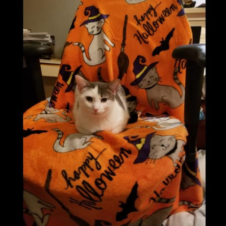 Decor&More Happy Halloween Microplush Throw Blanket (50" x 60")