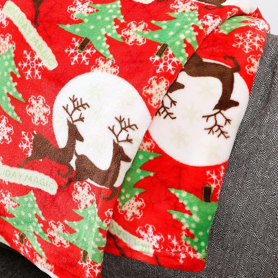 Decor&More Festive Holiday Microplush Throw Blanket (50" x 60") - Forest Friends