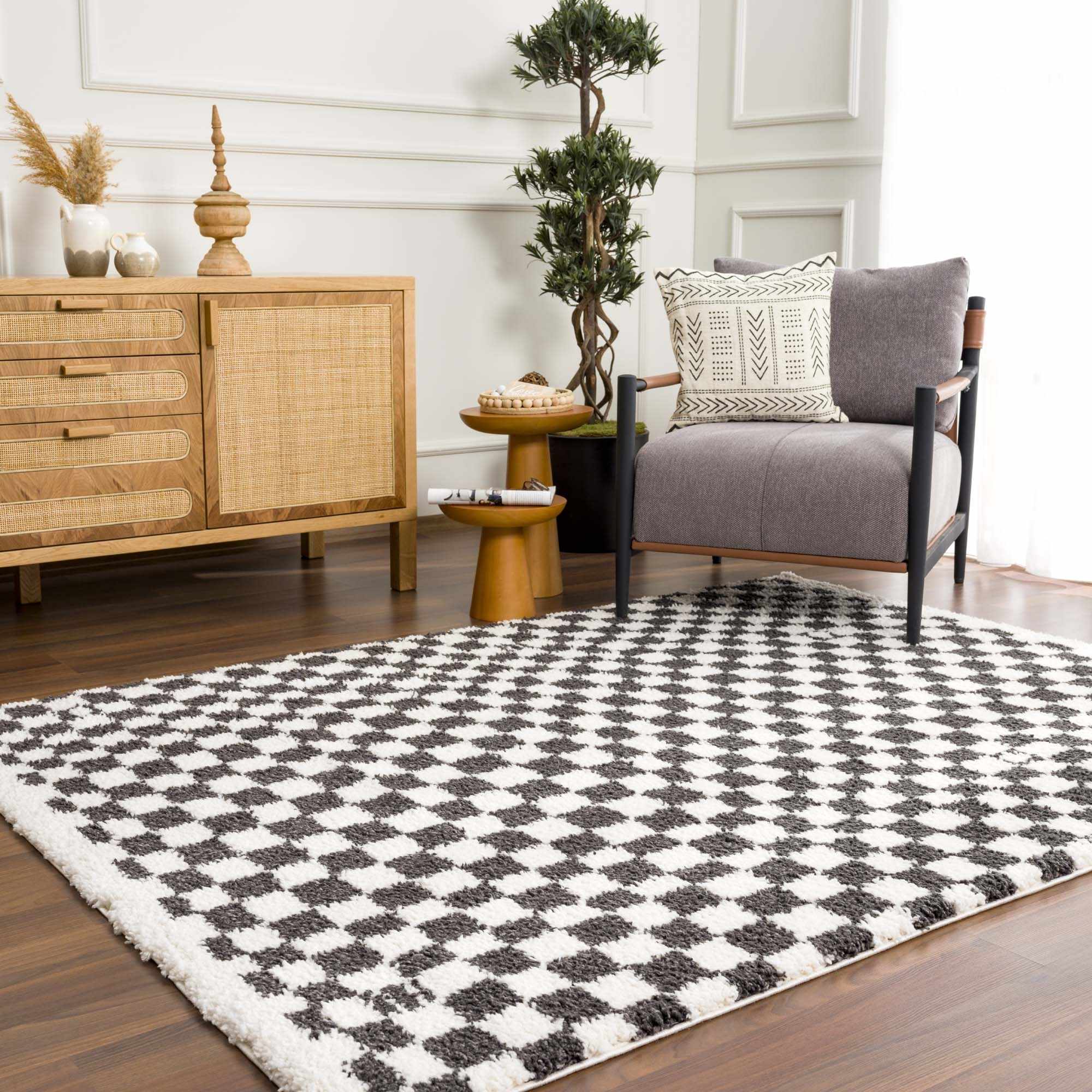 Kieu Checkered Shag Area Rug